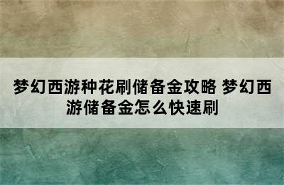 梦幻西游种花刷储备金攻略 梦幻西游储备金怎么快速刷